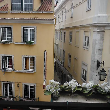 Lafonense Lisbon