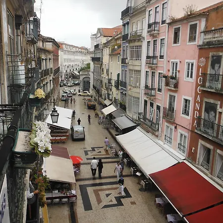 Lafonense Lisbon